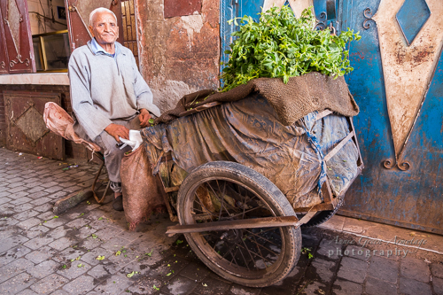 Old man in traditional Moroccan Djellaba and white skullcap with barrow of mint for sale in the street in the souks of the Medina, Marrakech.